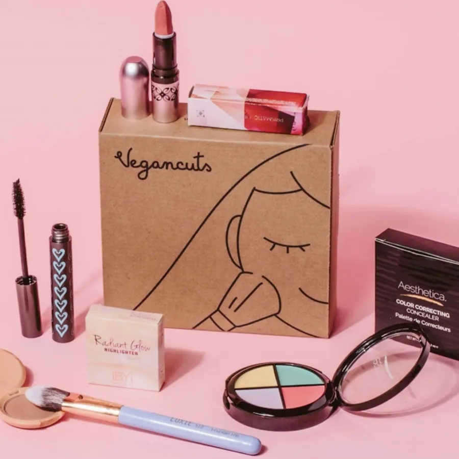 Cardboard Makeup Boxes