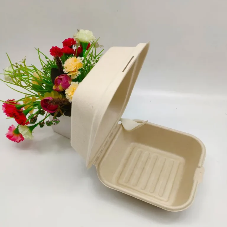 Biodegradable Burger Boxes-2