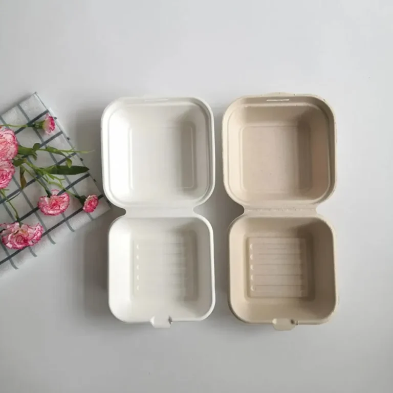Biodegradable Burger Boxes-4